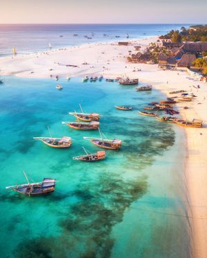 Image post by @etihad on Instagram