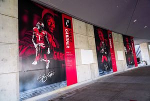 Image post by @GoBEARCATS on Twitter