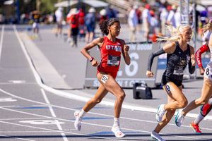 Image post by @UtahTrackXC on Twitter
