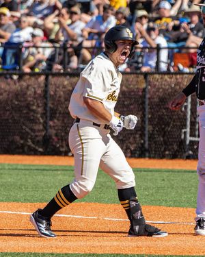 Image post by @petunia.photo on Instagram