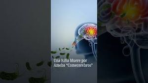 Video post by @nmasunivision on YouTube