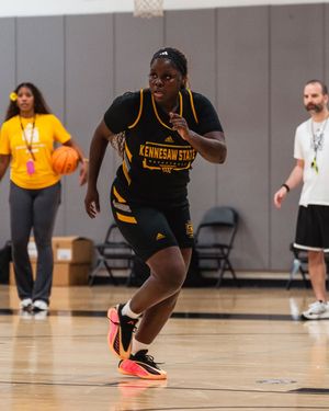Image post by @ksuowlswbb on Instagram