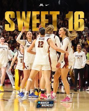 Image post by @GopherWBB on Twitter
