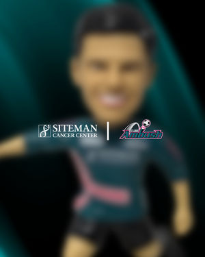 Image post by @stlouisambush on Instagram