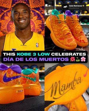 Image post by @soleretriever on Instagram