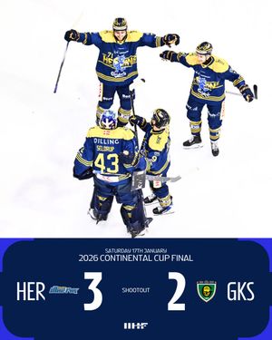 Image post by @iihfmen on Instagram