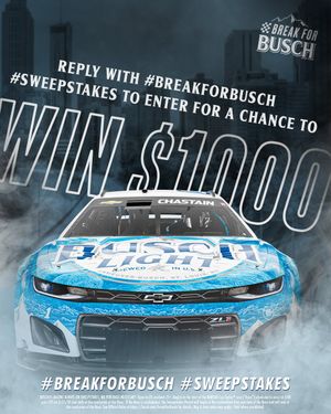 Image post by @BuschBeer on Twitter