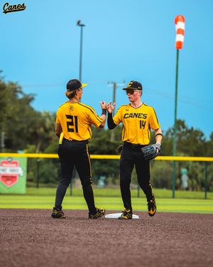 Image post by @thecanesbb on Instagram