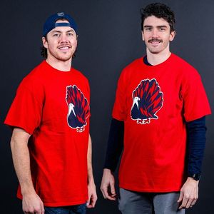 Image post by @Capitals on Facebook