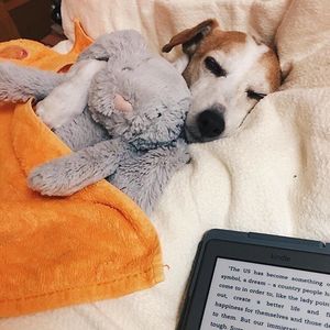 Image post by @amazon on Instagram