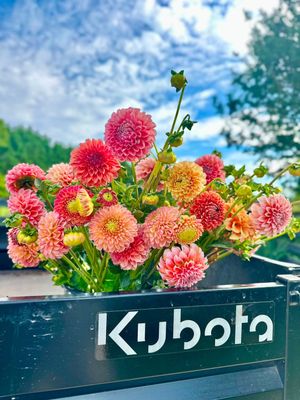 Image post by @kubotausa on Instagram