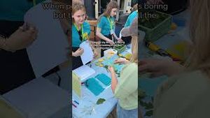 Video post by @bostonwithemily on YouTube