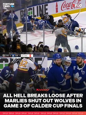 Image post by @flohockey on Instagram