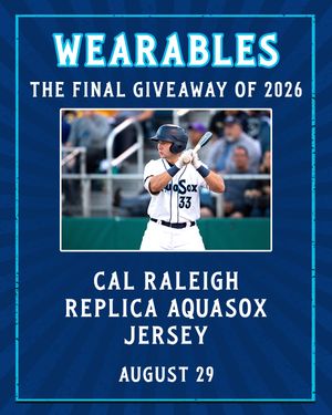 Image post by @everettaquasox on Instagram