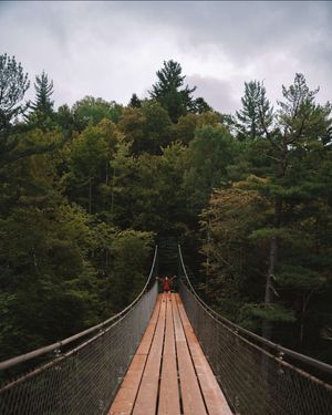 Image post by @bestwestern on Instagram