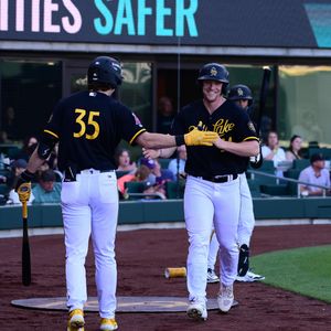 Image post by @saltlakebees on Instagram