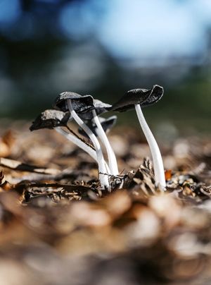 Image post by @huntsphotovideo on Instagram