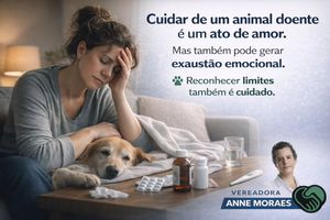 Image post by @annemoraesvereadora on Instagram