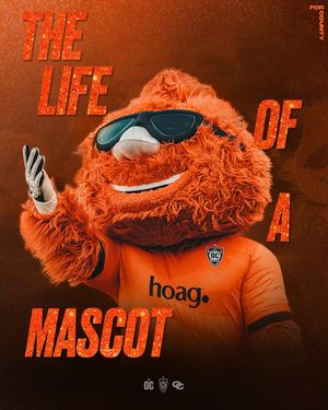 Image post by @orangecountysoccer on Instagram