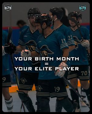 Image post by @nationalballhockeyleague on Instagram