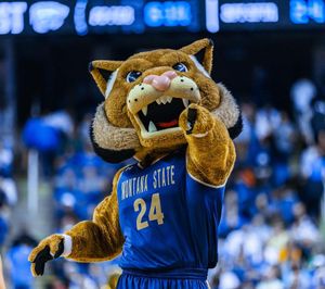 Image post by @champ_bobcat on Instagram