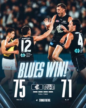 Image post by @carlton_fc on Instagram