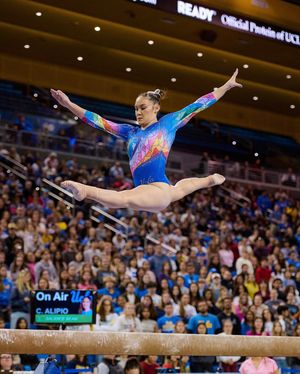 Image post by @uclagymnastics on Instagram