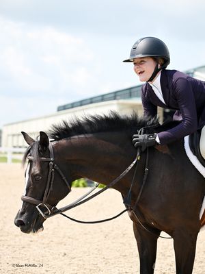Image post by @kyhorseshows on Instagram