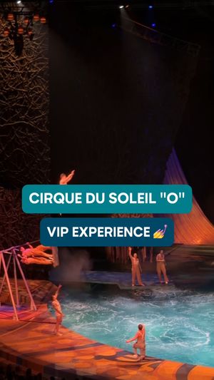 Image post by @o.cirquedusoleil on Instagram