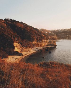 Image post by @abdalhadealani on Instagram