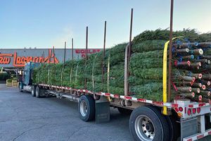 Image post by @stewleonards on Instagram