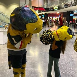 Image post by @chancenhl on Instagram