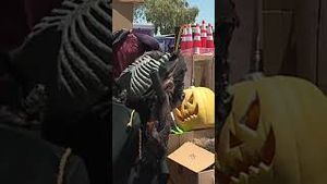Video post by @abc15 on YouTube