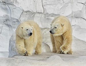 Image post by @detroitzoo on Instagram