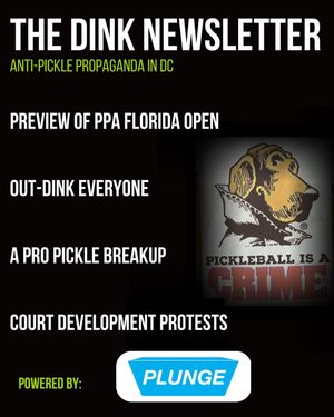 Image post by @thedinkpickleball on Instagram