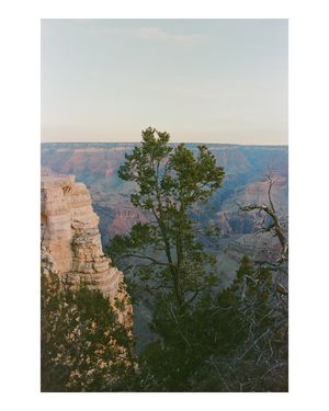 Image post by @elianagracemedia on Instagram