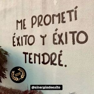 Image post by @sinergiadeexito on Instagram