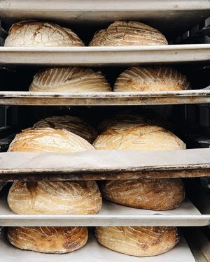 Image post by @niccossteak on Instagram