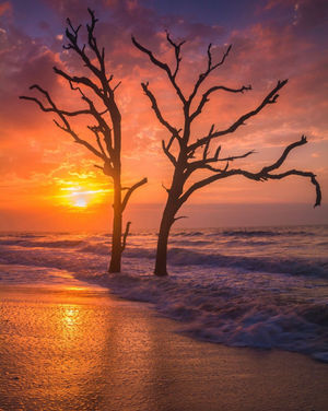 Image post by @southcarolina on Instagram