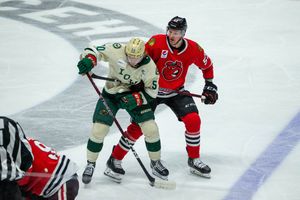 Image post by @IAWild on Twitter