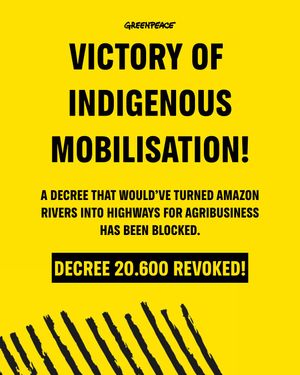 Image post by @greenpeace on Instagram