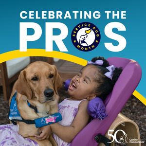 Image post by @canineorg on Instagram