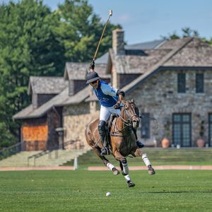 Image post by @greenwichpoloclub on Instagram