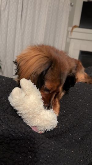 Video post by @kate.cassaidy on TikTok