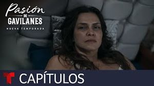 Video post by @telemundo on YouTube