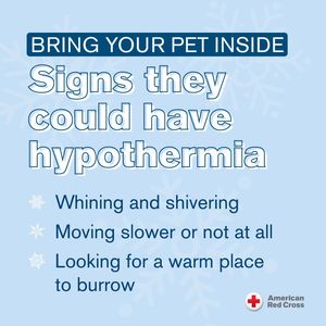 Image post by @americanredcross on Instagram