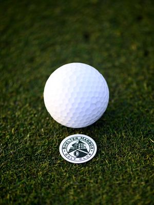 Image post by @evolvegolf on Instagram