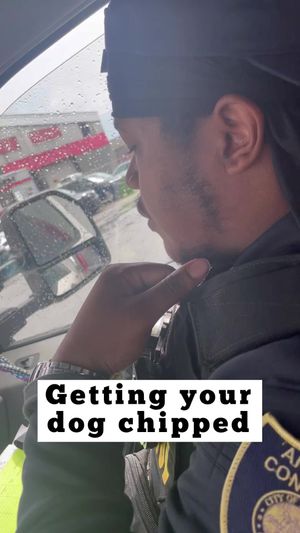 Video post by @DetroitGSD on Facebook