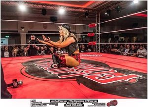 Image post by @tonistorm_ on Instagram