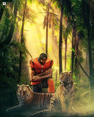 Image post by @jbvisualss on Instagram